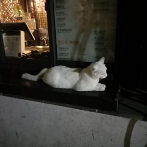 性裸❌❌❌❌❌A片手机版
